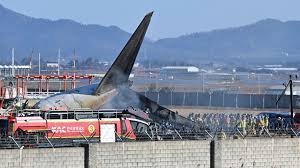 South Korea Plane Crash: 179 feared dead bird hit ‘suspicion’ linked